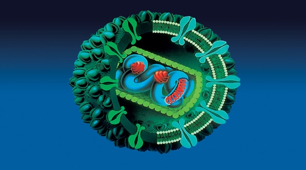 Infectia hiv si sida